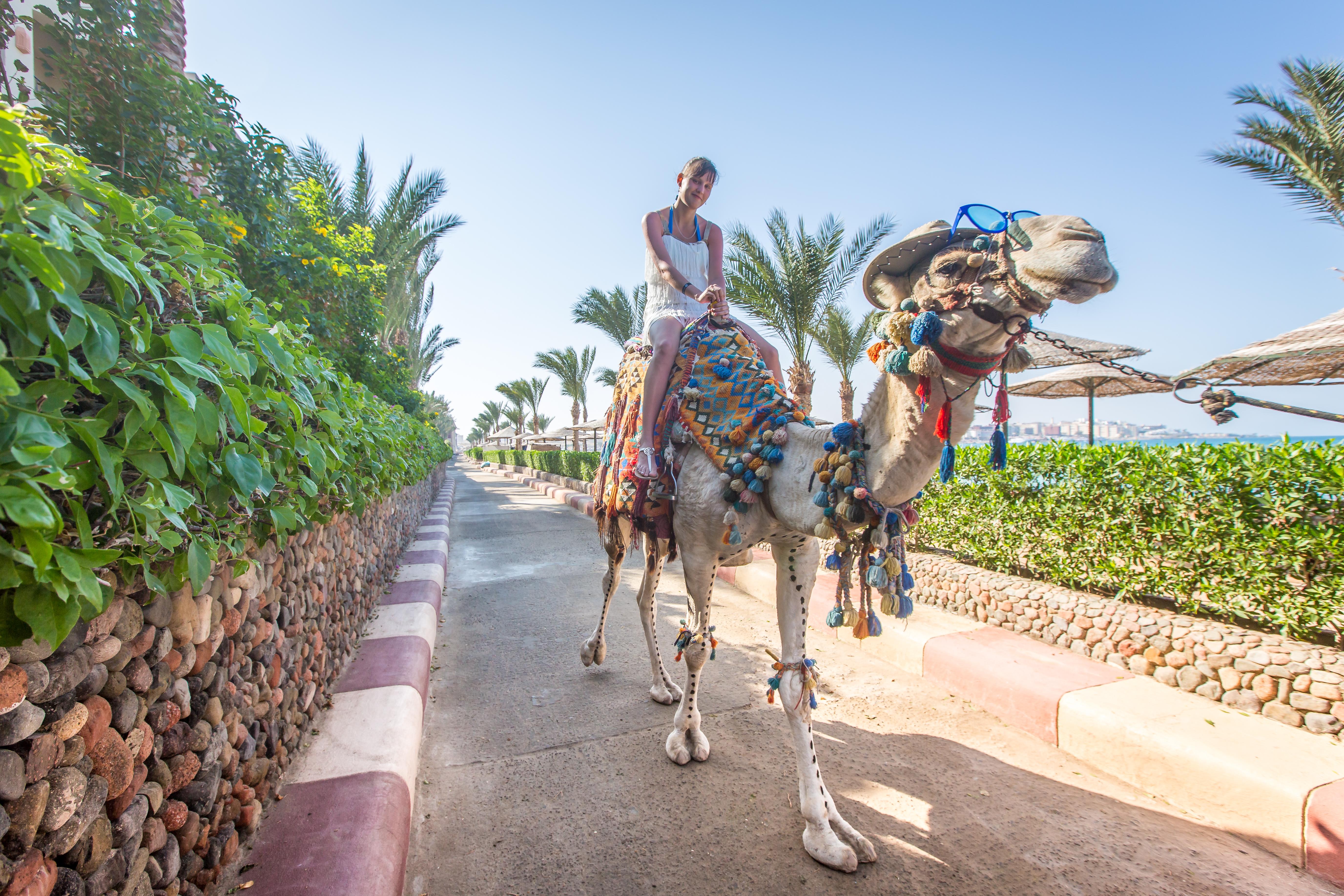 Sunny Days El Palacio Resort & Spa Hurghada Exterior foto